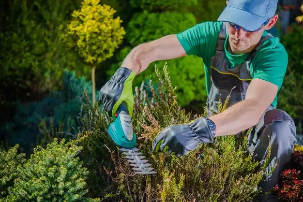 landscaping services Middleborough Center